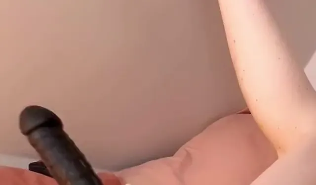 Anal Dildo verschwindet im Transen Arsch