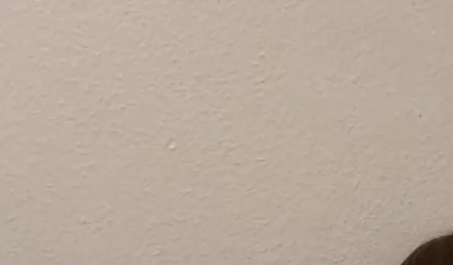 ich schiebe mir meinen Schwanz in mein Arsch mit geilen Dirtytalk