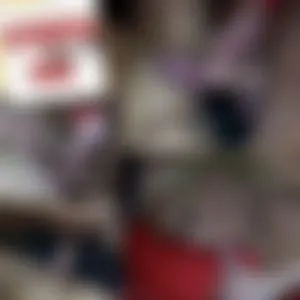 HARDCORE GANGBANG-GIRL Teil 2