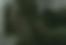 Anal sex with local crossdresser