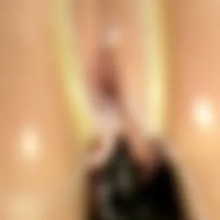 Doppelt gestopft