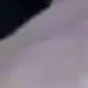 Eine junge Hündin quiekt vor Vergnügen