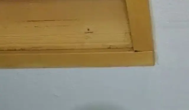 Neues fotzenfick und arschfick von sklavin anny ??
