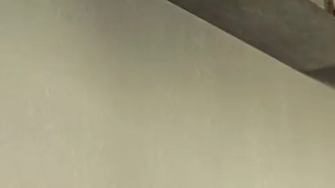 Na hast du genau so lust wie ich ?! :P