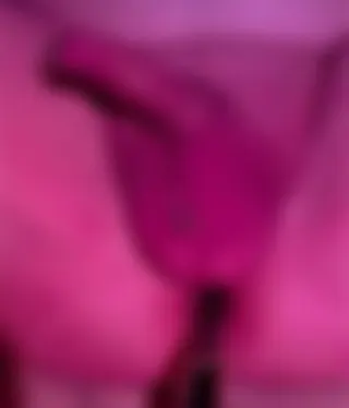 Anal spielchen und wixxsen